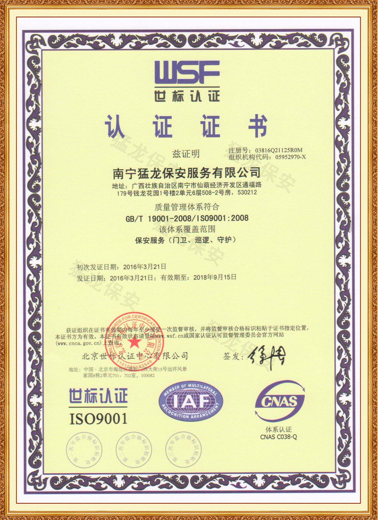 正規免费在线看片网址