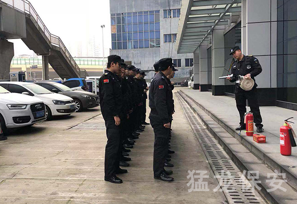 正規免费在线看片网址
